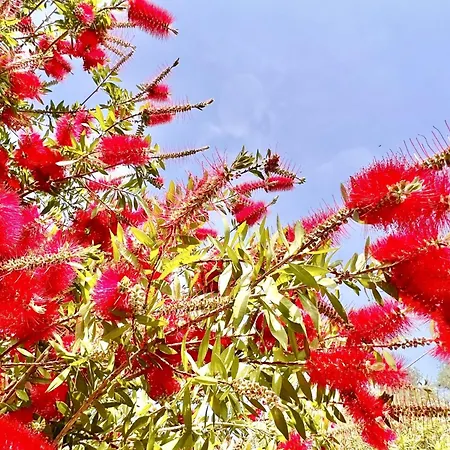 Renas Near By Dadovillas Roda (Corfu)